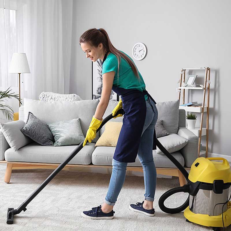 professional cleaning services